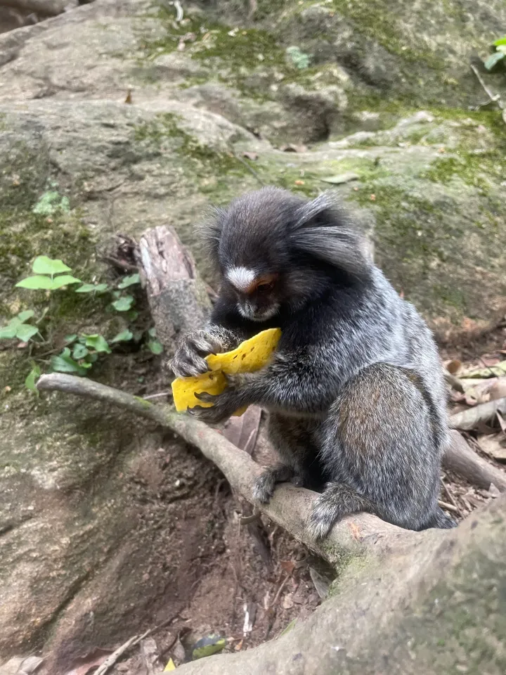 Brazil, photo 13 of 30