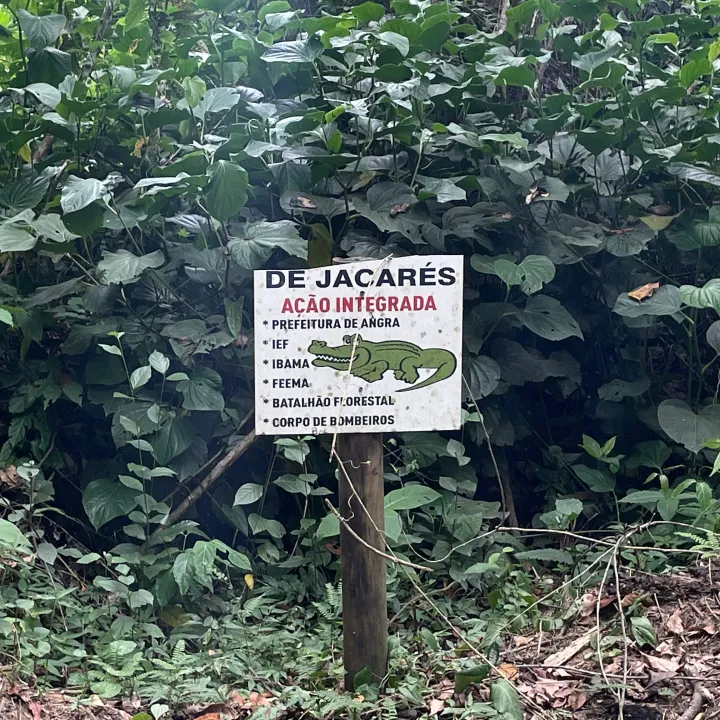 Brazil, photo 22 of 30