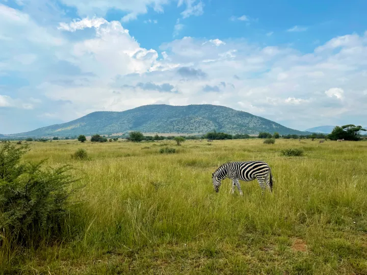 South Africa, photo 16 of 20