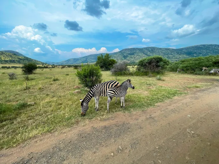 South Africa, photo 19 of 20